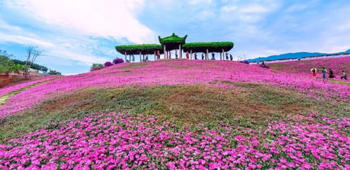 攀枝花入選2019年中國康養(yǎng)產(chǎn)業(yè)可持續(xù)發(fā)展能力20強地級市