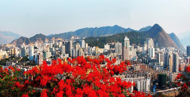 紅動花城 &middot; 攀枝花金科城市展廳驚艷亮相