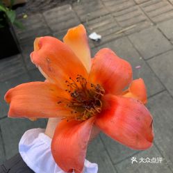 電話,地址,價格,營業(yè)時間 攀枝花生活服務(wù)