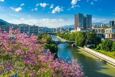 攀枝花市仁和區(qū)人民政府