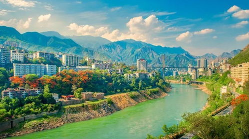 此時初夏,到攀枝花邂逅漫天藍紫和火紅的花海,感受城市之美