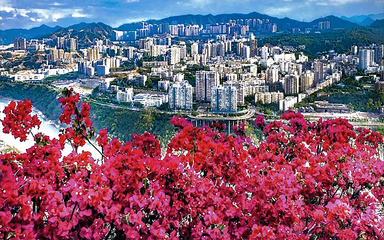 攀枝花 - 東 區 ( 景區 )