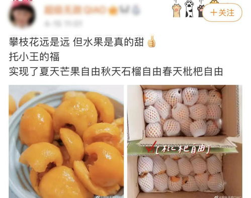 你以為的進口熱帶水果，可能都來自'四川小三亞'攀枝花